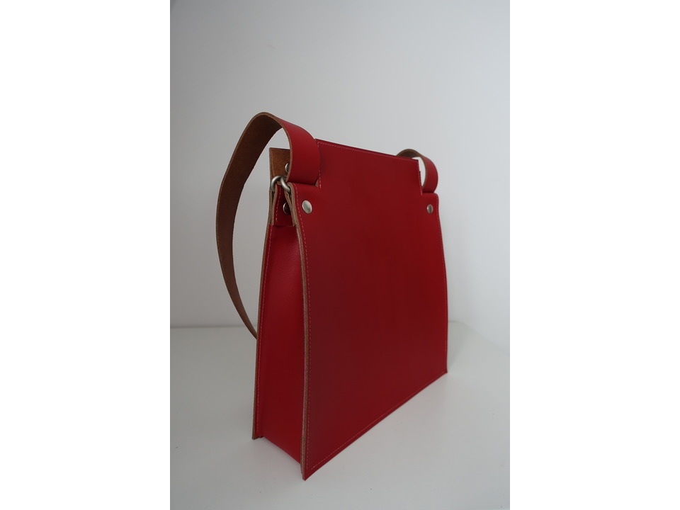 rood-flamingo - foto 3